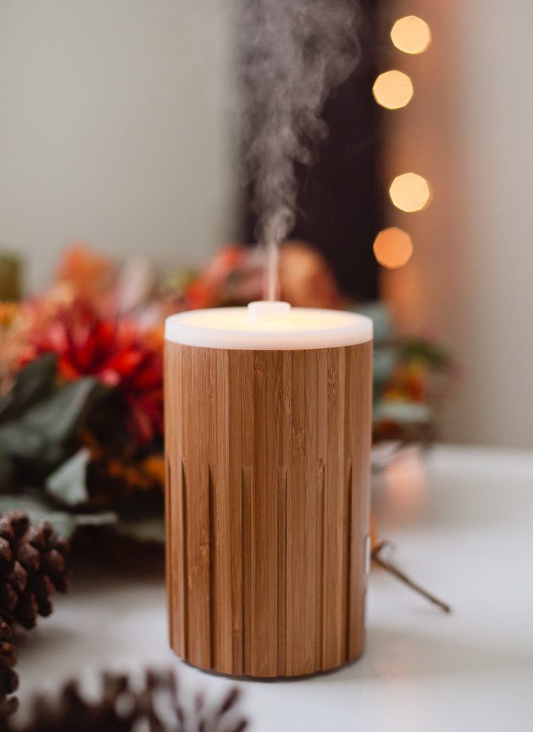 10 Amazing Fall Essential Oil Recipes for your Diffuser - Top 10 Fall Essential Oils Blends for Your Diffuser by popular Florida lifestyle blogger Fresh Mommy Blog