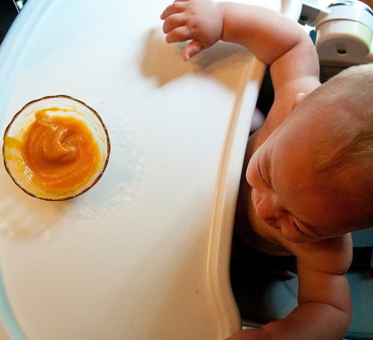 Homemade Baby Food… Sweet and Savory
