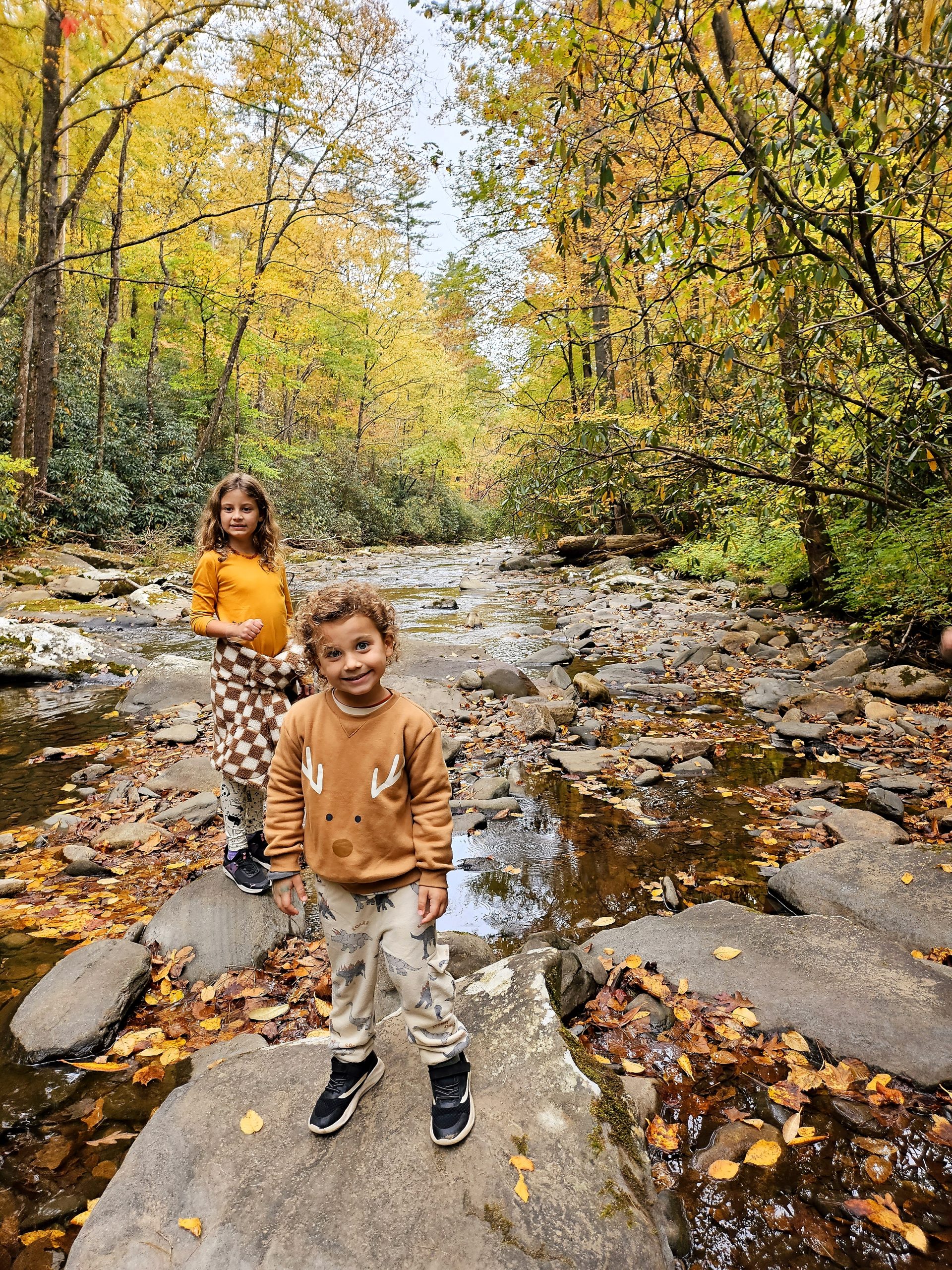 Fall hiking at Fires Creek Falls - Fun Fall DIY Leaf Craft & Scenic Hikes in Murphy & Andrews, NC