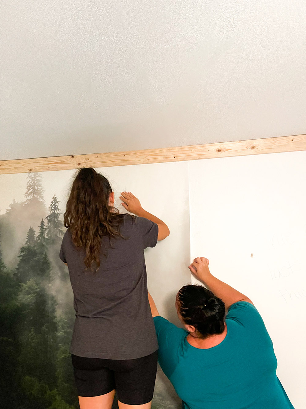 FoggyForestWallpaper-team work