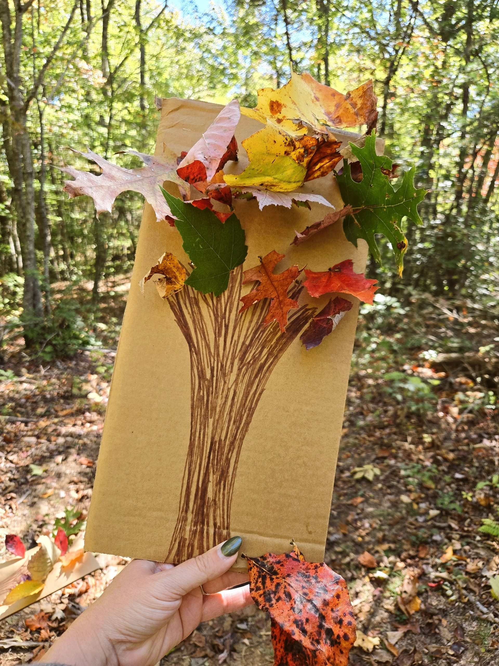 Fun Fall DIY Leaf Craft & Scenic Hikes in Murphy & Andrews, in Western NC