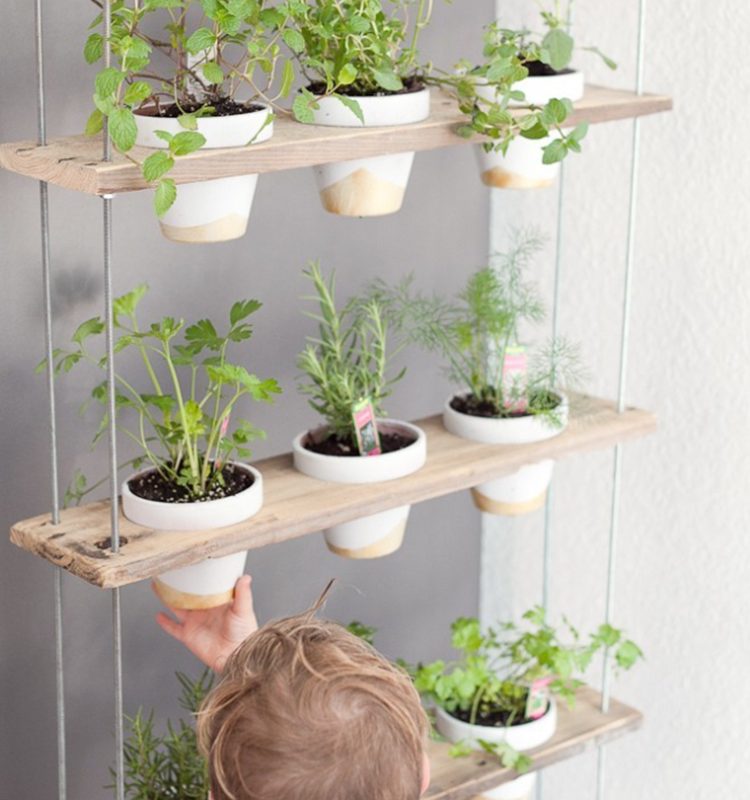 How to Make a Hanging Herb Garden