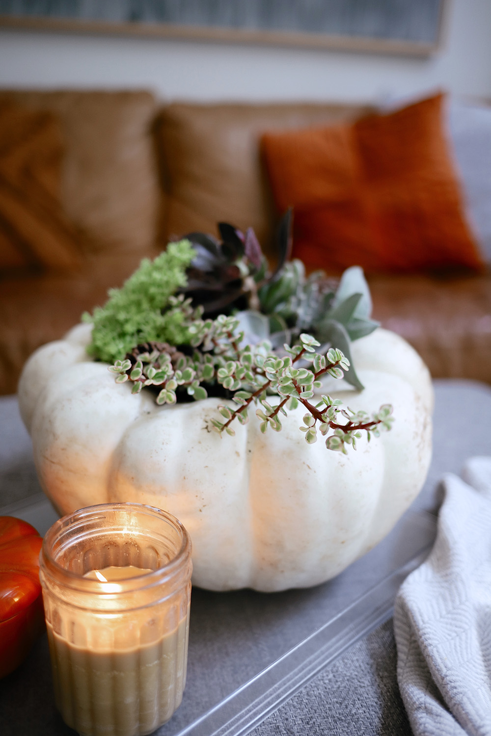 How to Make a Pumpkin Succulent Centerpiece, a tutorial featured by top US home blogger, Fresh Mommy Blog