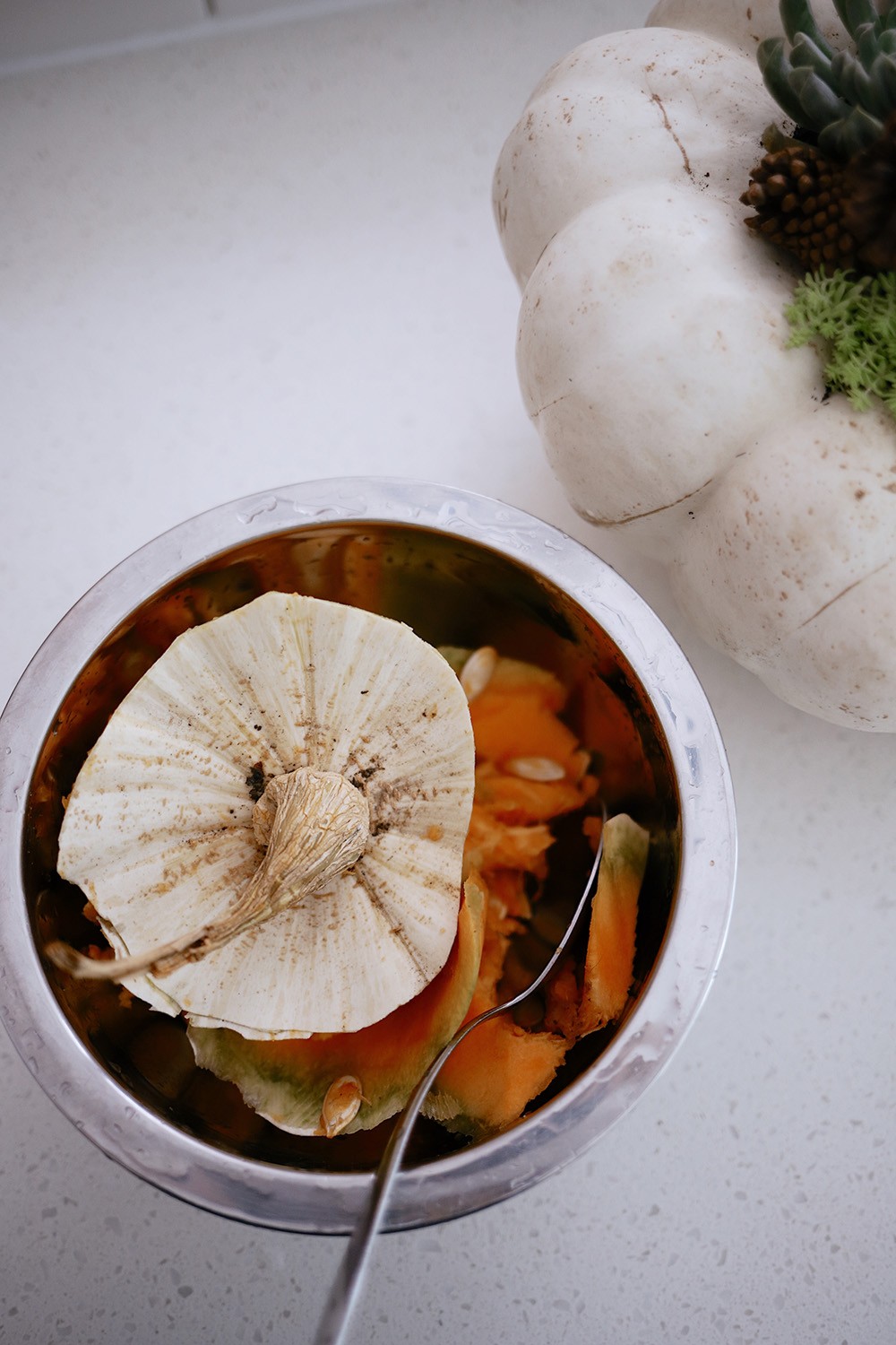 How to Make a Pumpkin Succulent Centerpiece, a tutorial featured by top US home blogger, Fresh Mommy Blog