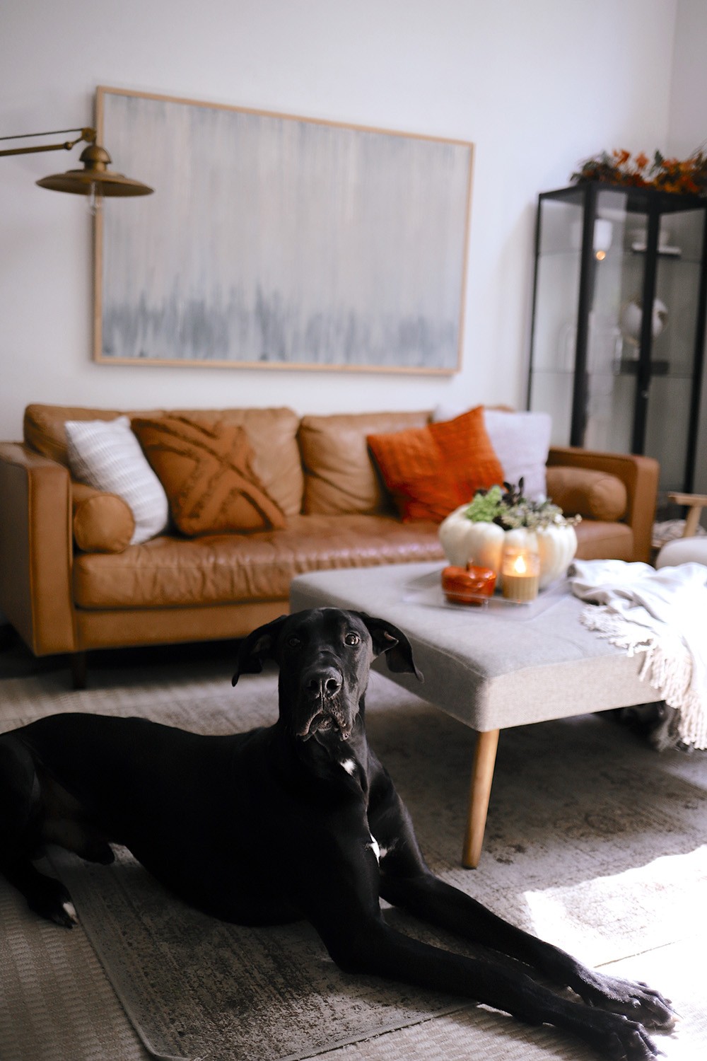 How to Make a Pumpkin Succulent Centerpiece, a tutorial featured by top US home blogger, Fresh Mommy Blog