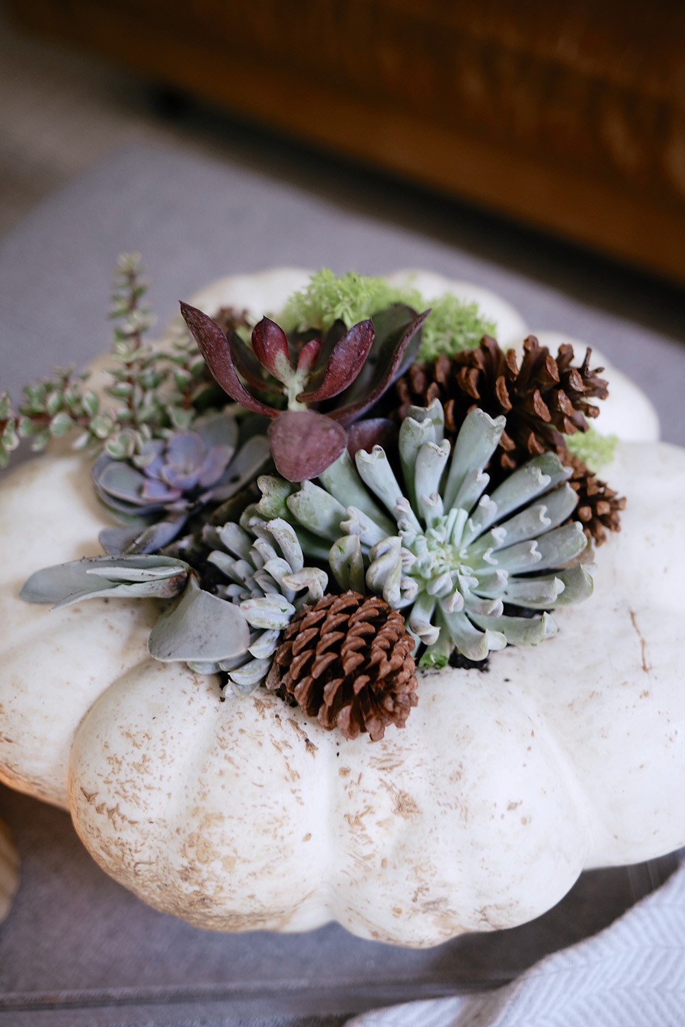 How to Make a Pumpkin Succulent Centerpiece, a tutorial featured by top US home blogger, Fresh Mommy Blog