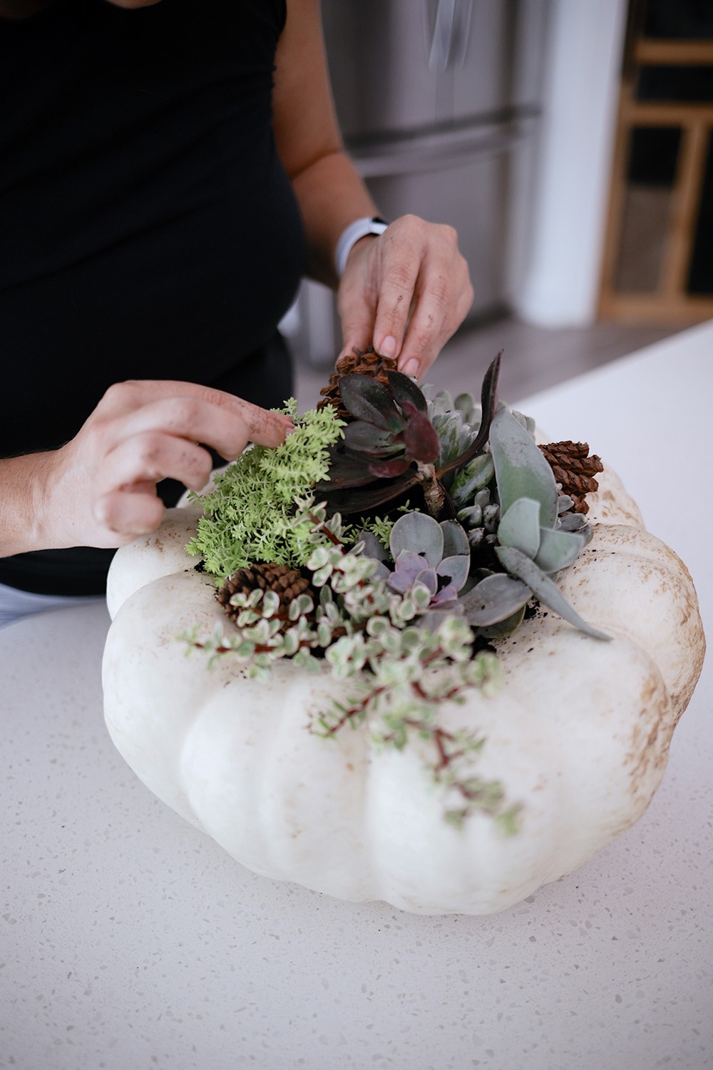 How to Make a Pumpkin Succulent Centerpiece, a tutorial featured by top US home blogger, Fresh Mommy Blog