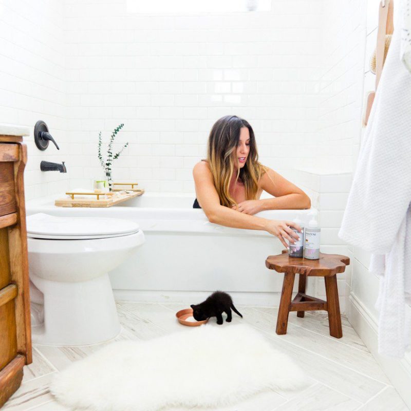 Meet Smokey, our new kitten... and all about kitten care, tips and favorite products.