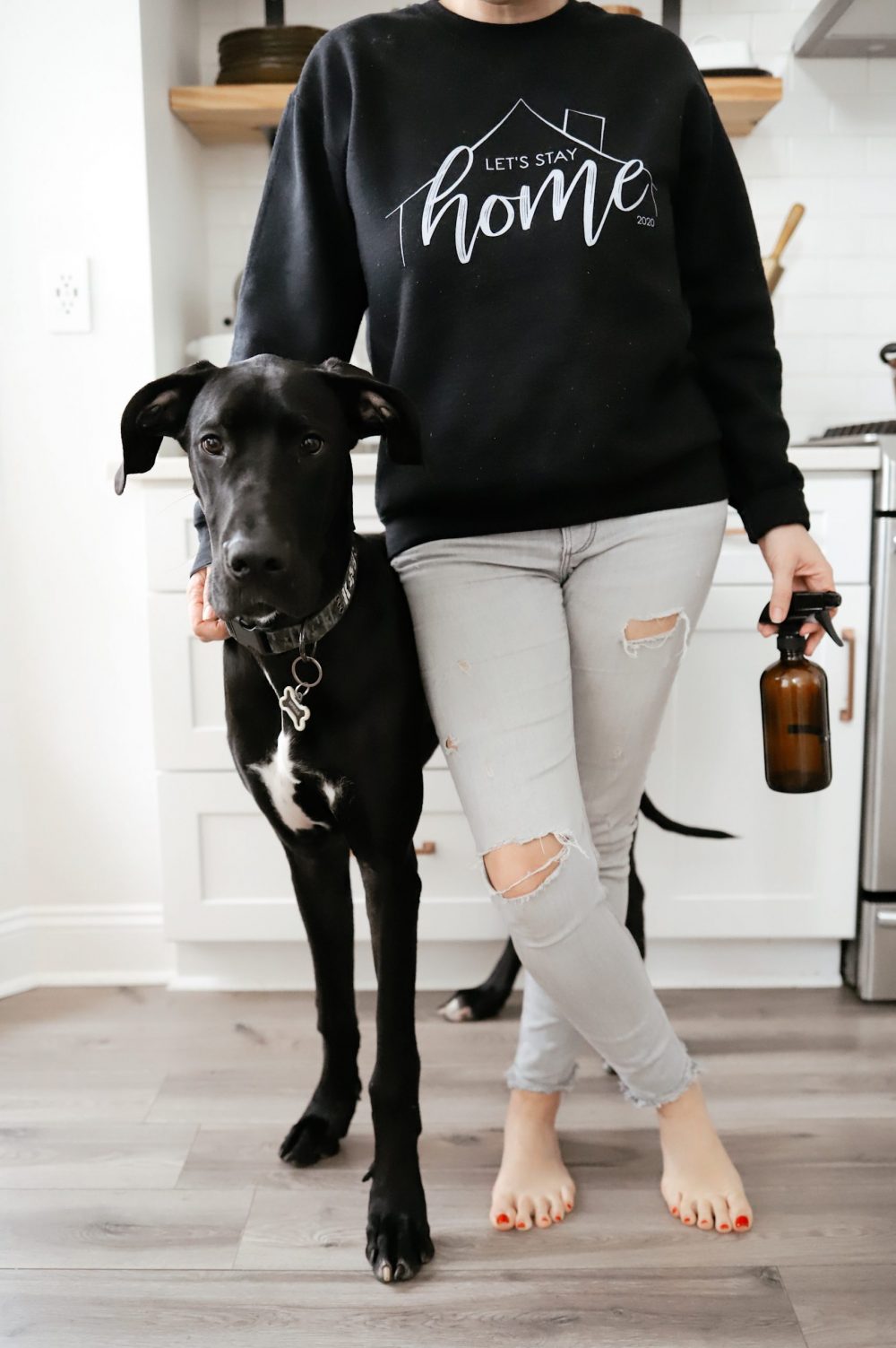 Essential Oils Safe for Dog Deodorizer Spray