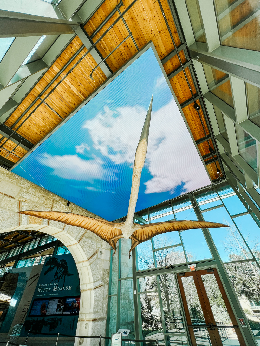 Witte Museum