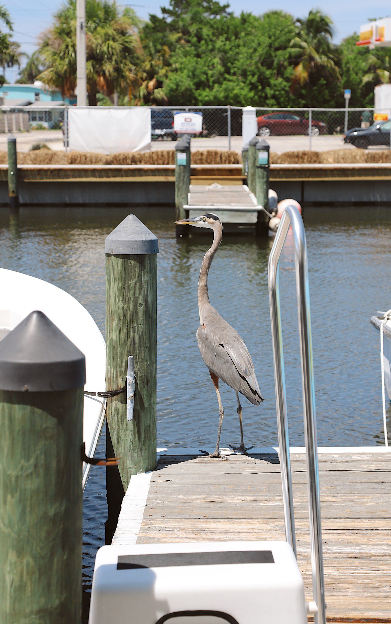 Florida Vacations Worth Staying for: Anna Maria Island Staycation. Where to stay and what to do on Anna Maria Island, Florida for a Florida family vacation by travel and lifestyle blogger Tabitha Blue of Fresh Mommy Blog. 