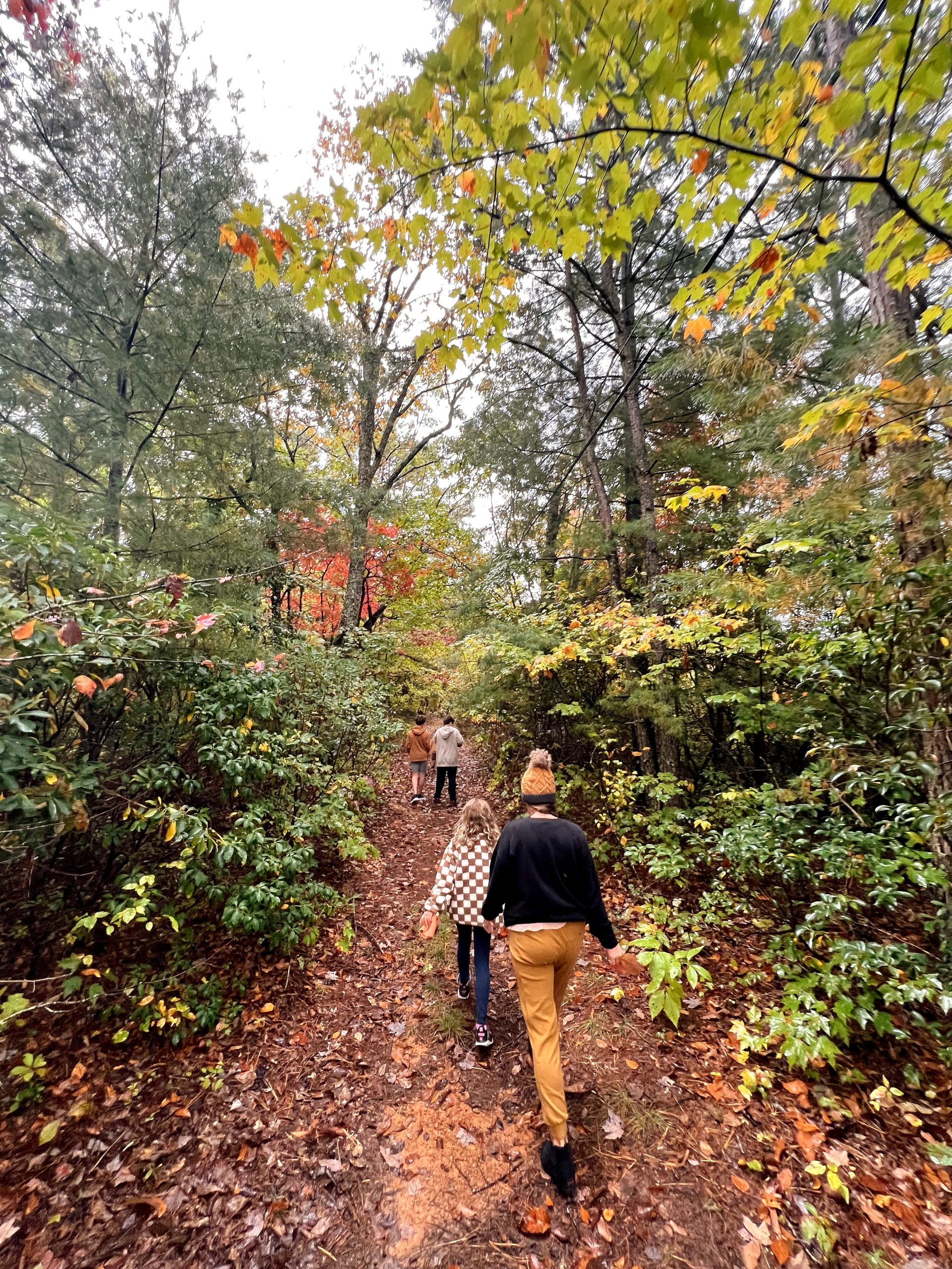 The best fall hikes in Andrews, NC - Explore The Beacon