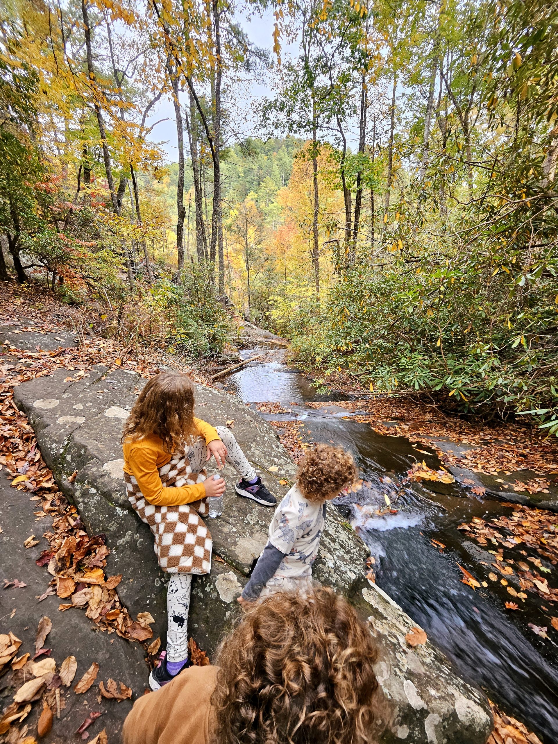 The views from the top of Fires Creek Falls