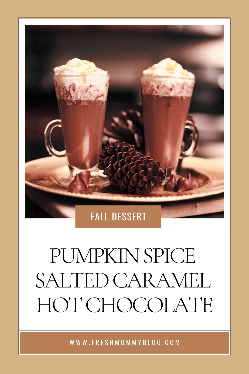 Fall Dessert Recipe - A Delicious Pumpkin Spice Salted Caramel Hot Chocolate. This fall treat is good both hot and cold!