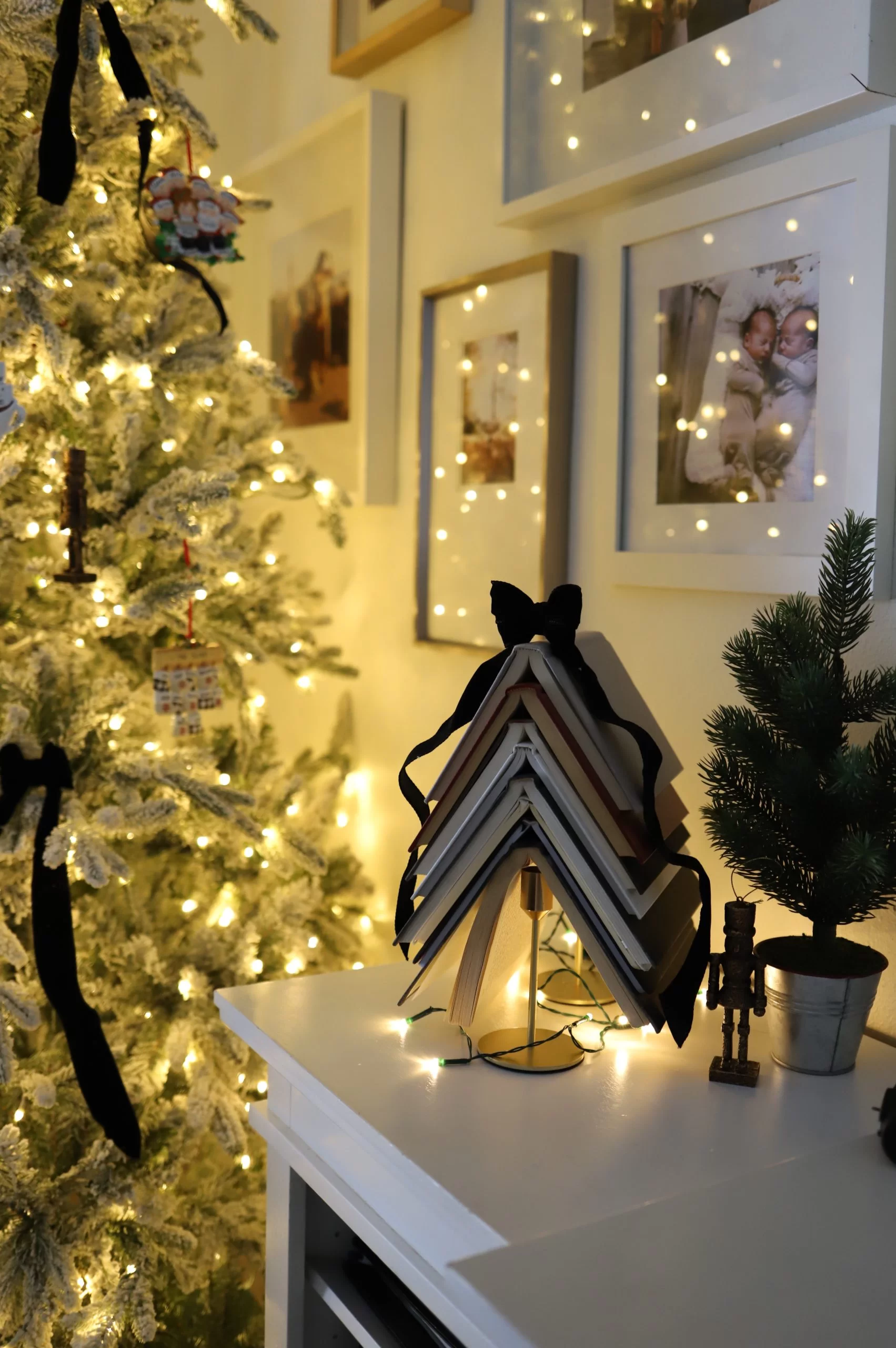 Christmas in July King of Christmas Trees and Budget Ideas