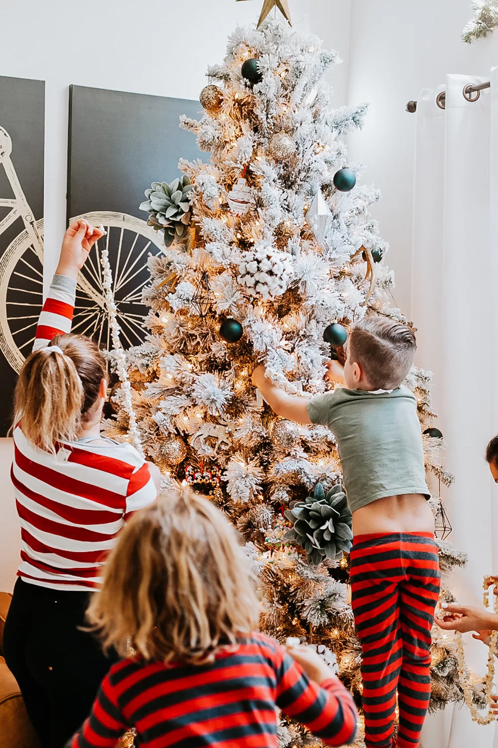 King of Christmas Trees